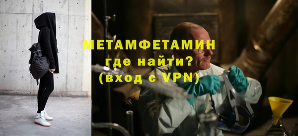 крисы Бородино