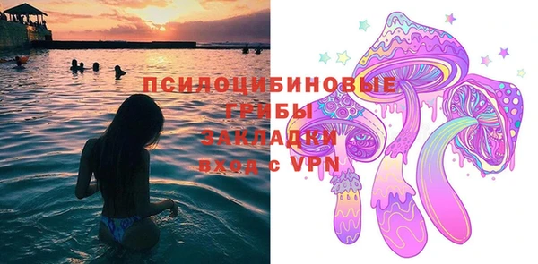 крисы Бородино