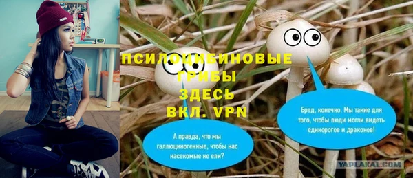 а пвп мука Богородицк
