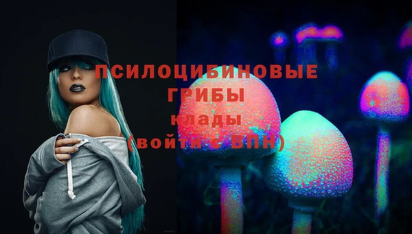 крисы Бородино