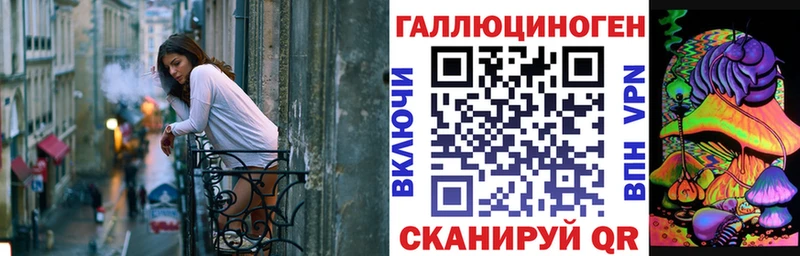 Псилоцибиновые грибы Psilocybine cubensis  Голицыно 